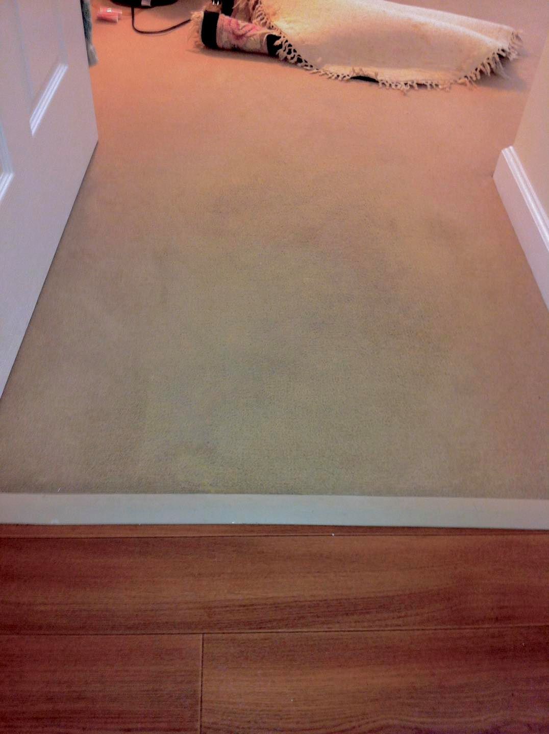 Carpet after professional colour restoration in Christchurch