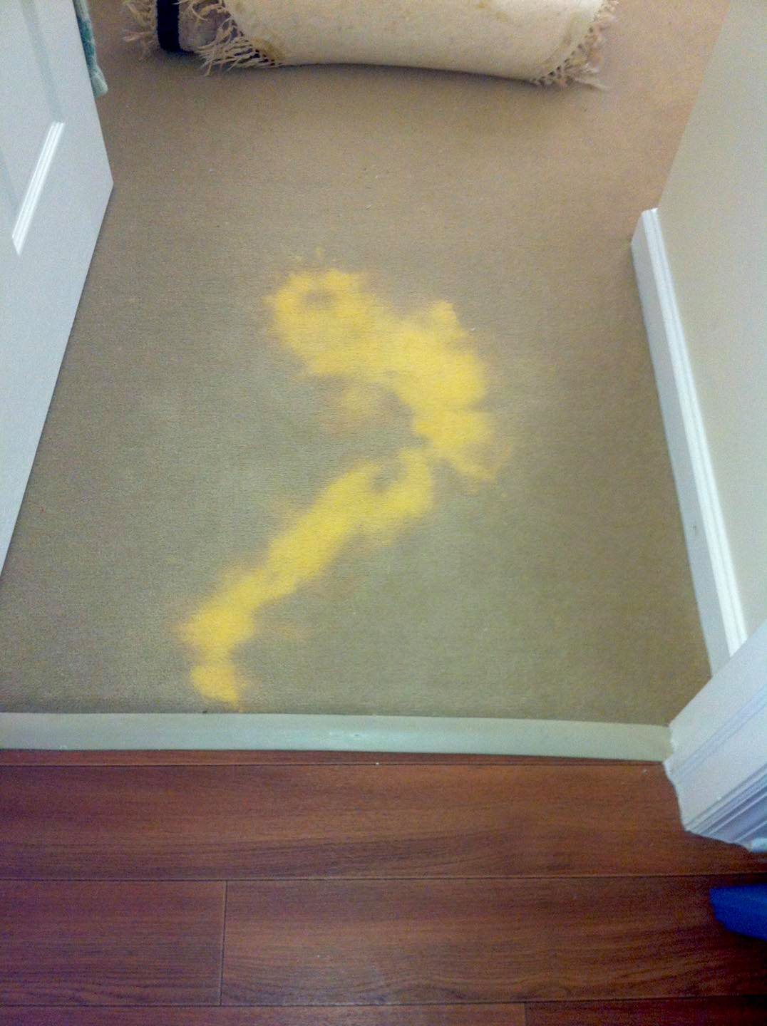 Carpet with extensive colour loss before professional colour restoration