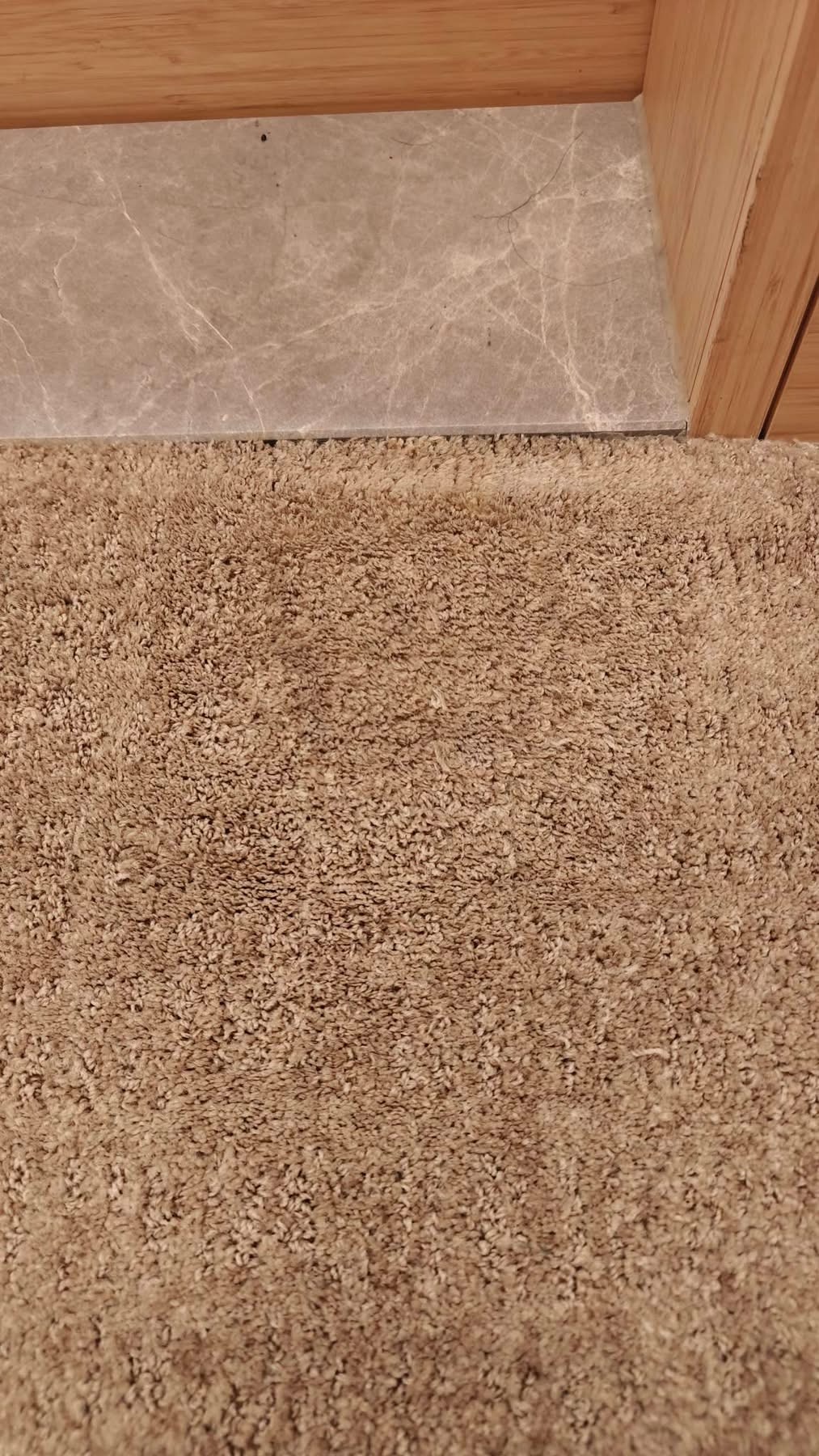 Carpet after professional colour restoration and dyeing in Christchurch