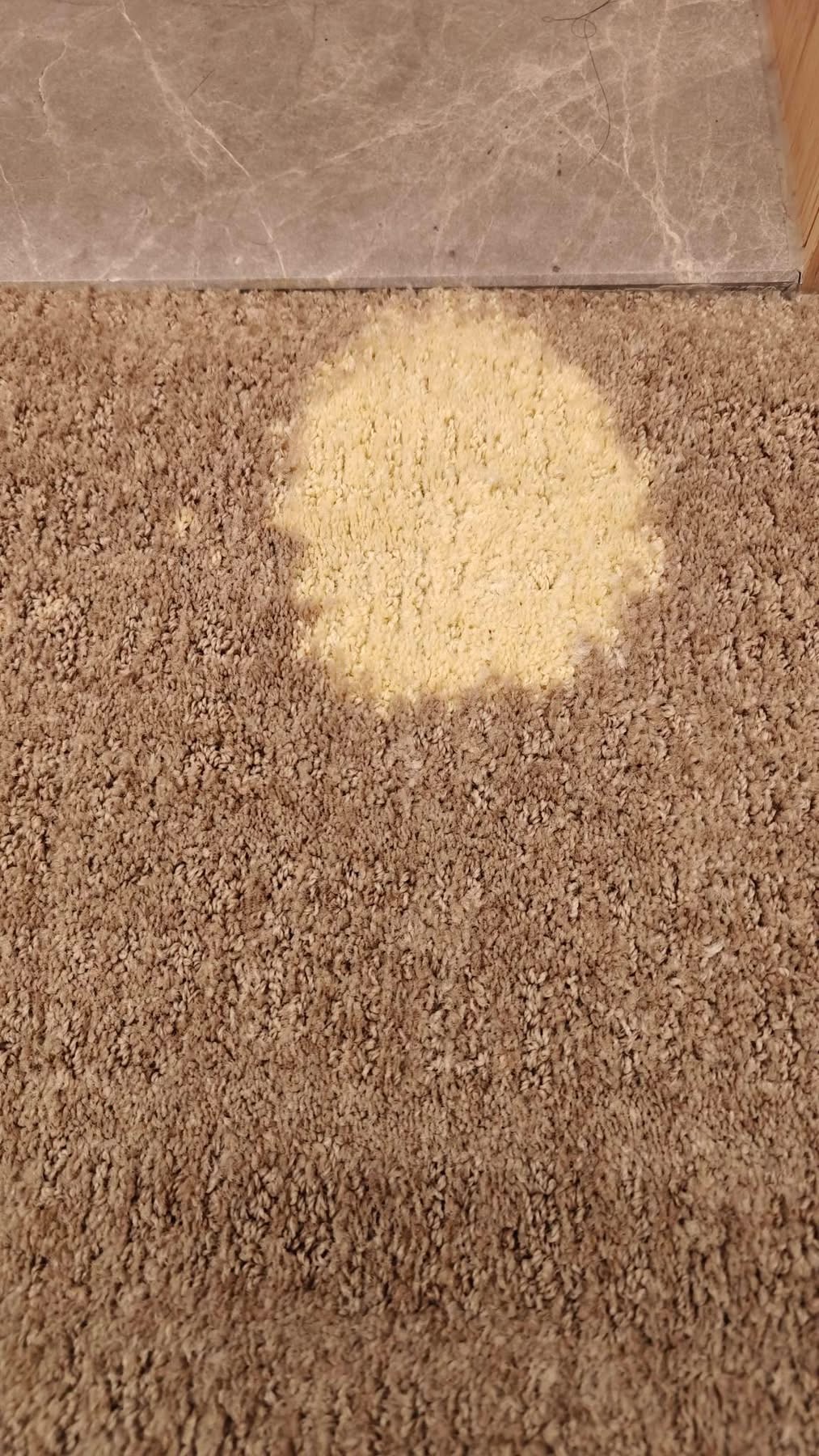 Carpet colour loss before professional carpet dyeing in Christchurch
