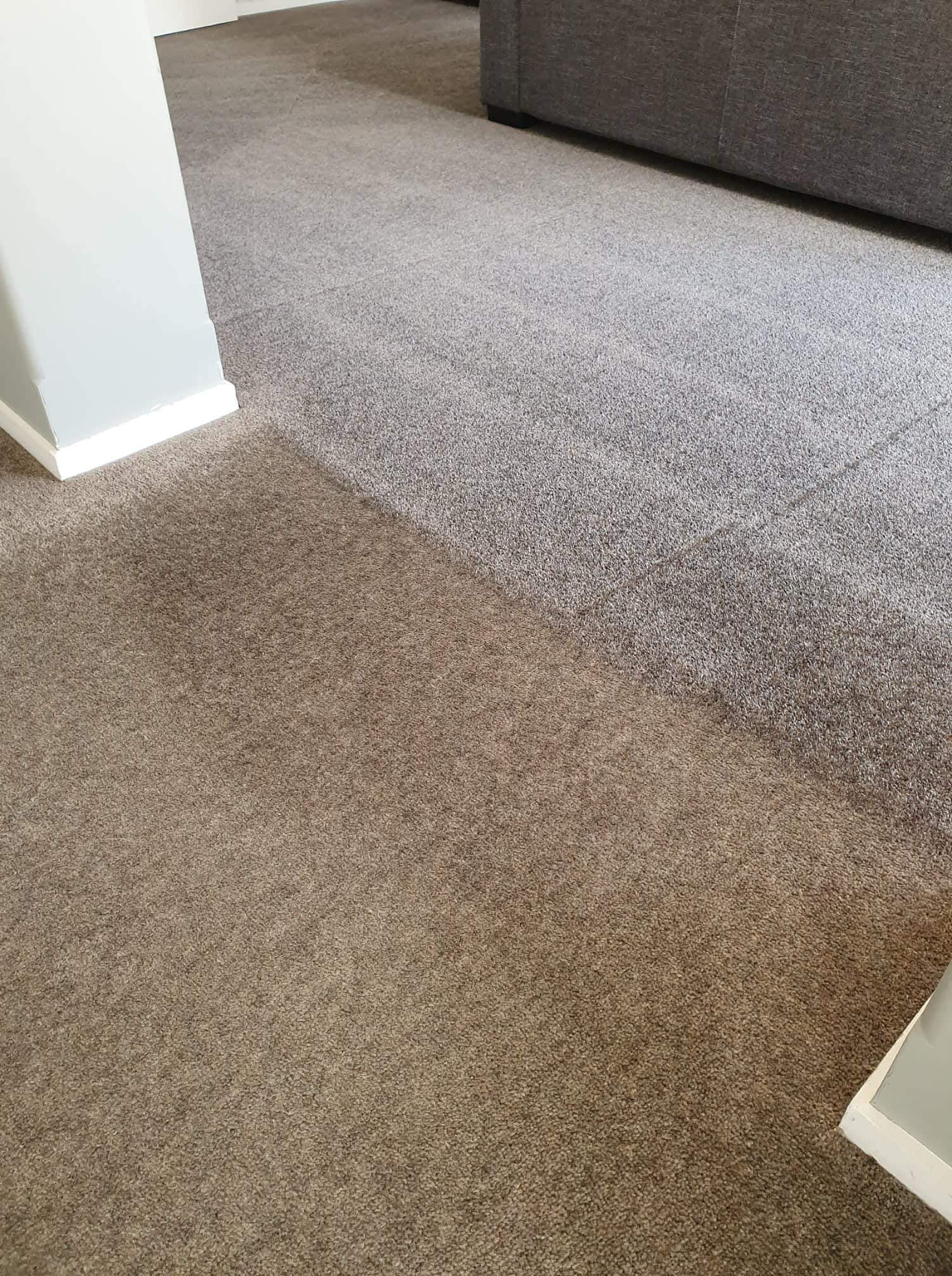 Freshly cleaned carpet showing a visibly improved result