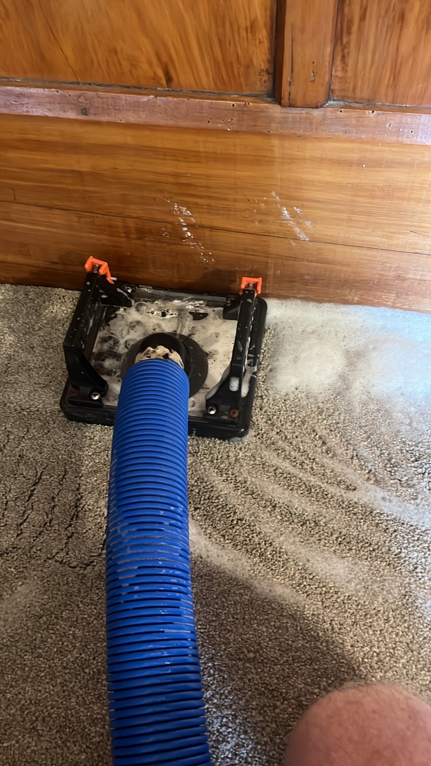 Professional odour treatment and extraction