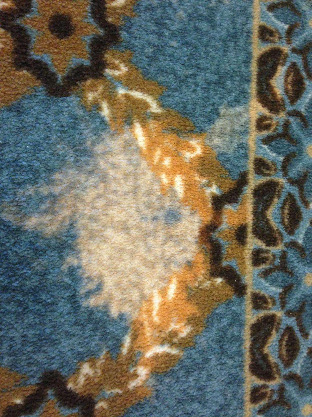 Rug with colour loss before professional rug colour restoration in Christchurch