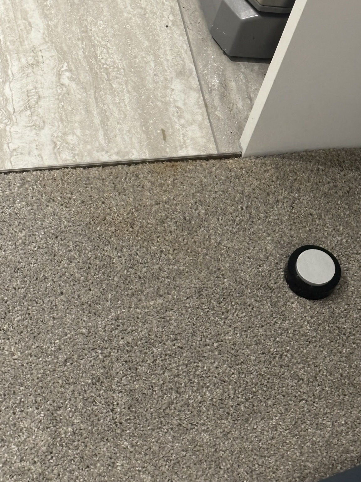Carpet at a doorway after specialist stain treatment