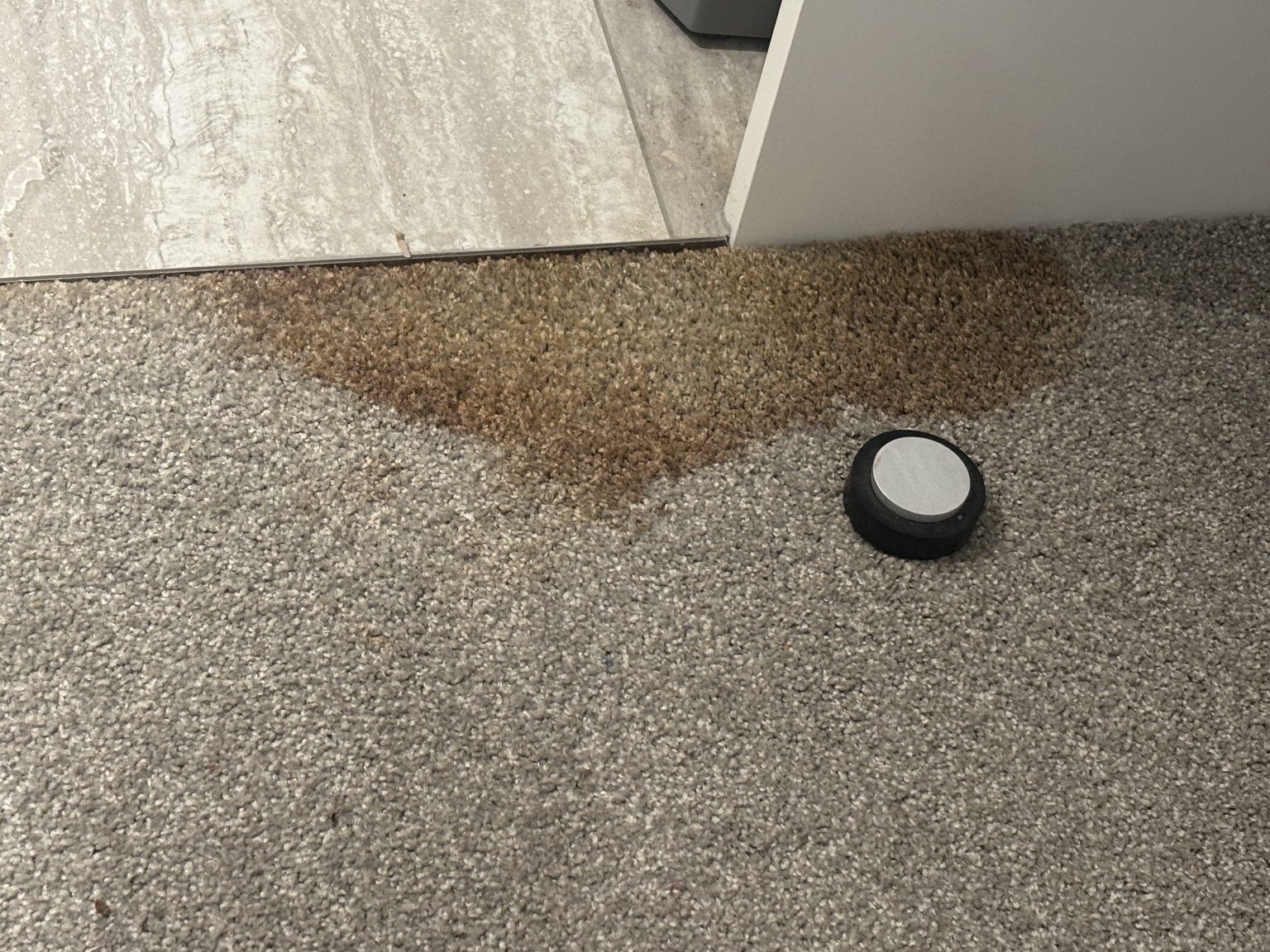 Carpet stain at a doorway before specialist stain treatment