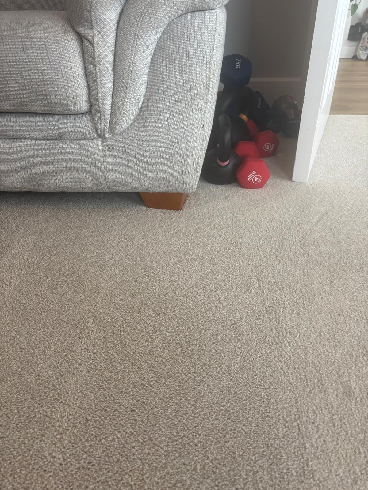 Carpet beside a sofa after specialist stain treatment