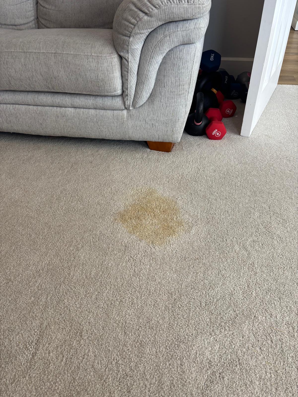 Carpet stain beside a sofa before specialist stain treatment