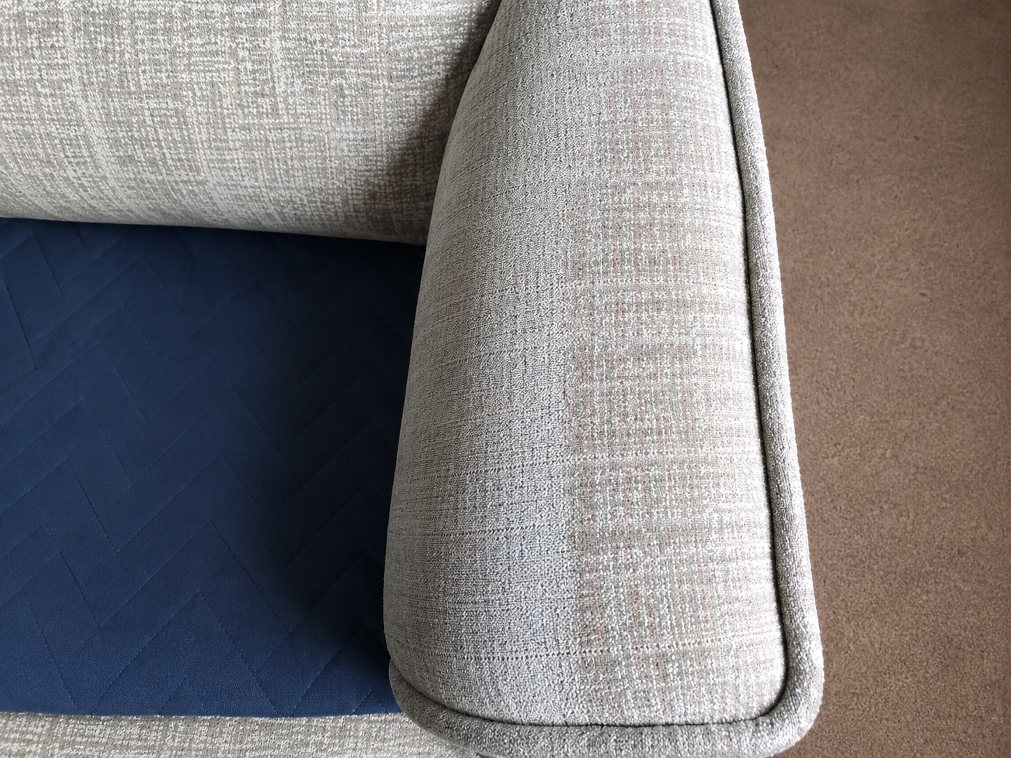 Professional upholstery cleaning showing a clear cleaned section