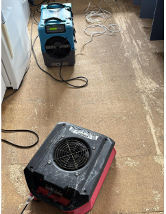 Professional carpet cleaning team