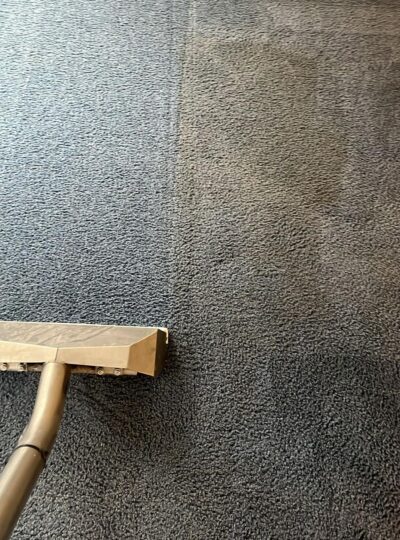 WhatsApp Image 2025-10-16 at 7.34.30 PM