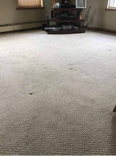 home-carpet-cleaning-before