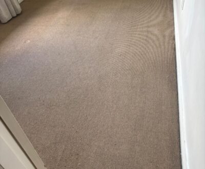Residential Carpet Cleaning after