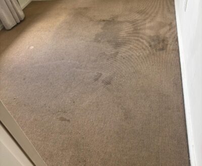Residential Carpet Cleaning before