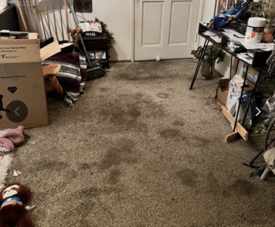 Stay Clean & Restoration Carpet Clean Before Stay Clean & Restoration Carpet Clean Before